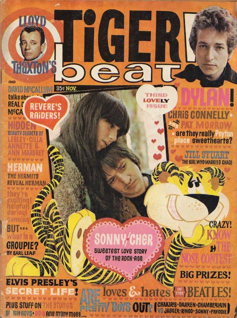 Tiger Beat magazine, Nov. 1965 — This was the magazine's third issue. It is still in publication today. Tiger Beat Magazine, Cover Couple, I Got You Babe, Sweet Love Story, Tiger Beat, Ann Margret, Teen Magazine, Old Magazines, Time Life