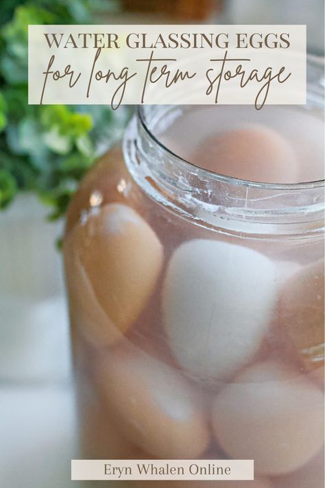 Waterglassing eggs is one of the easiest, most undervalued method of preserving eggs for over a year to use in baking and an assortment of ways. It's also extremely cost effective. Here's how to do it! How To Preserve Eggs, Waterglassing Eggs, Glassing Eggs, Homemade Fly Traps, Preserving Eggs, Gallon Jars, Scratch Recipes, Long Term Storage, Mold Growth