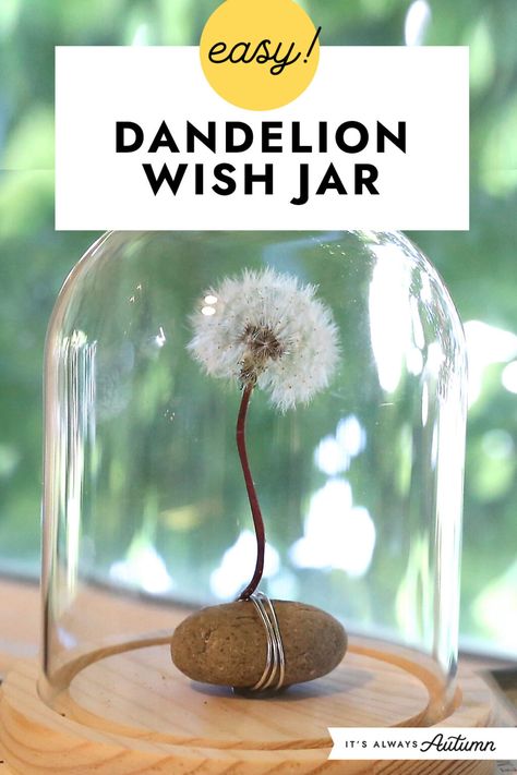 Easy! Dandelion wish jar. Dandelion Quotes, Wish Jar, Dandelion Puffs, Crafts With Glass Jars, Dandelion Art, Dandelion Clock, A Dandelion, Summer Craft, Dandelion Wish