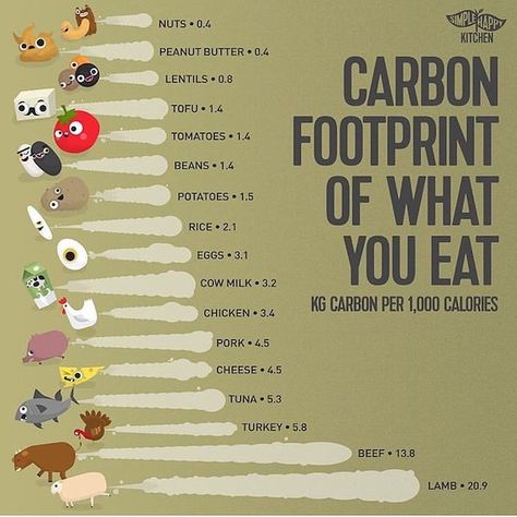 Food’s carbon footprint is the greenhouse gas emissions produced by growing, farming, rearing, processing, transporting, storing, cooking and disposing of the food we eat. Vegan Facts, Environmentally Friendly Living, 1000 Calories, Vegan Quotes, What You Eat, Green Life, Save Earth, Vegan Life, Vegan Diet