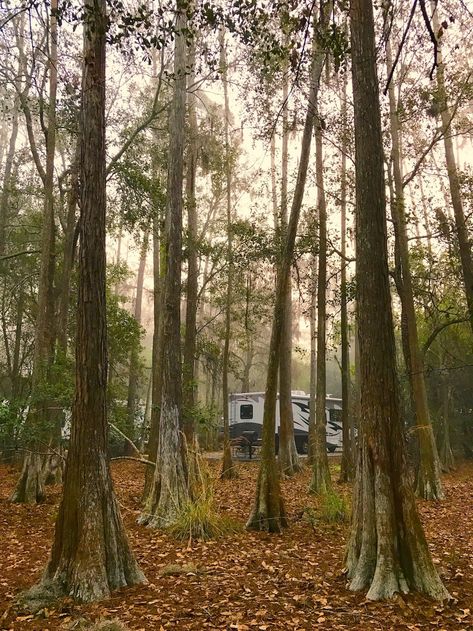 10 TIPS FOR HAVING A MAGICAL RV VACATION AT WALT DISNEY WORLD | Go RVing Fort Wilderness Campground, Disney Fort Wilderness Resort, Fort Wilderness Disney, Disney Transportation, National Park Lodges, Wilderness Resort, Fort Wilderness, Camping Resort, Wilderness Lodge