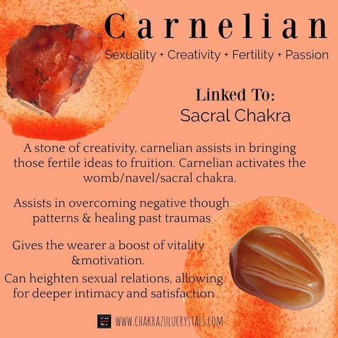 Crystal Bae💜 on Instagram: “Tonight's info card is on a fairly well known stone: CARNELIAN! . Talk about love-stoned! Carnelian is so versatile and in my opinion a…” Raw Carnelian, The Sacral Chakra, Talk About Love, Carnelian Crystal, Crystals Healing Properties, Spiritual Crystals, Gemstone Meanings, Meditation Crystals, Healing Crystal Jewelry