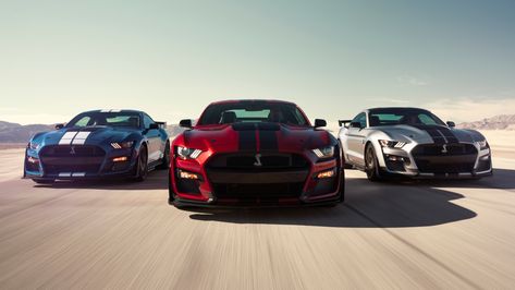 2020 Ford Mustang Shelby GT500 4k shelby wallpapers, hd-wallpapers, ford wallpapers, ford mustang wallpapers, cars wallpapers, 8k wallpapers, 5k wallpapers, 4k-wallpapers, 2020 cars wallpapers Ford Gt500, Luxury Car Wallpaper, Ford Mustang Wallpaper, Shelby Mustang Gt500, New Ford Mustang, Mustang Classic, Shelby Gt 500, Mustang Wallpaper, Sick Cars