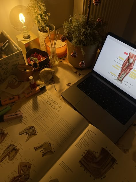 #study #studying #medicine #medschool #medstudent #anatomy #studymotivation #aesthetic Muscles Anatomy Aesthetic, Medicine Core Aesthetic, Medicine Moodboard Aesthetic, Studying Human Anatomy, Study Anatomy Aesthetic, Med Student Study Aesthetic, Anatomy Studying Aesthetic, Anatomy Class Aesthetic, Sport Medicine Aesthetic