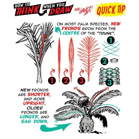 The Etherington Brothers on Instagram: “PALM TREES QUICK TIP! I’m creating the world’s first true ENCYCLOPEDIA of drawing tutorials under the hashtag #howtoTHINKwhenyouDRAW, all…” Trees Drawing Tutorial, Etherington Brothers, Palm Tree Drawing, Concept Drawing, Concept Draw, Book Maker, Tree Drawing, Drawing Tutorials, Drawing Tips