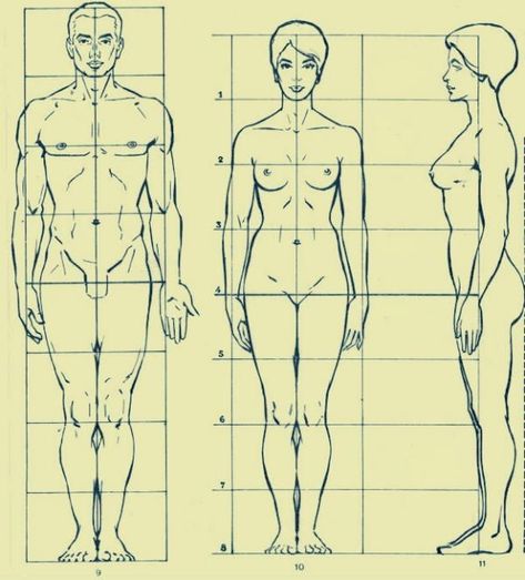 Body Proportion Drawing, Human Body Proportions, Drawing Body Proportions, Human Body Drawing, Human Anatomy Drawing, Body Drawing Tutorial, Human Figure Drawing, Human Anatomy Art, Human Drawing