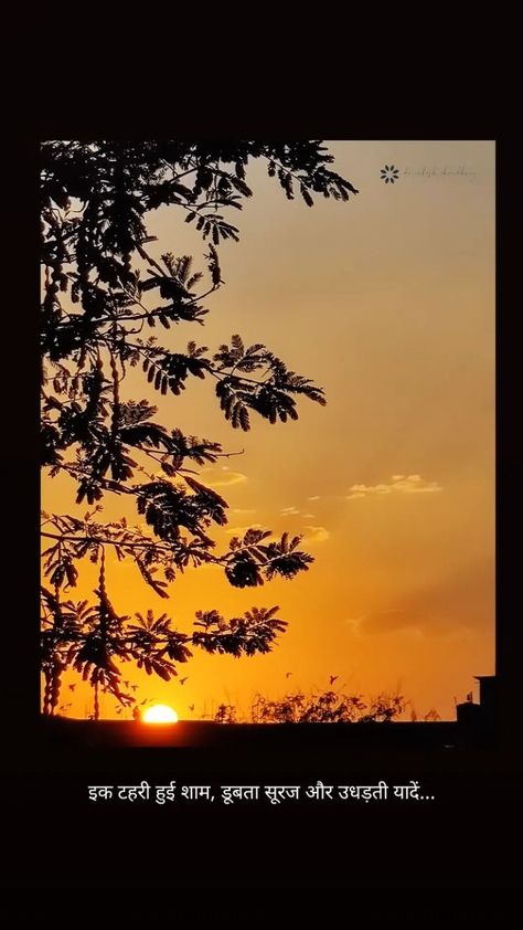 Caption For Beautiful Picture, Shayari On Sunset In Hindi, Sunset Quotes Instagram Caption Hindi, Chandrayan 3 Quotes, Hindi Words For Caption, Nature Caption In Hindi, Hindi Quotes On Nature, 31st December Quotes In Hindi, Nature Quotes Hindi