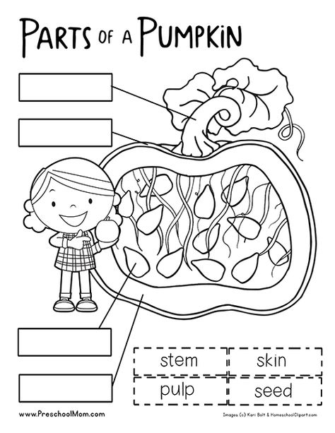 Our free preschool pumpkin printables help you plan out your Fall learning centers and classroom activities. Use our science sampler and moldy pumpkin experiment worksheet to add some hands on fun in your classroom.  Take a trip to the pumpkin patch and bring back some amazing teaching tools you can use throughout your Autumn thematic unit. … Pumpkin Preschool, Preschool Pumpkin, Pumpkin Lessons, Pumpkins Preschool, October Lessons, Parts Of A Pumpkin, Fall Worksheets, Preschool Mom, Homeschool Preschool Activities