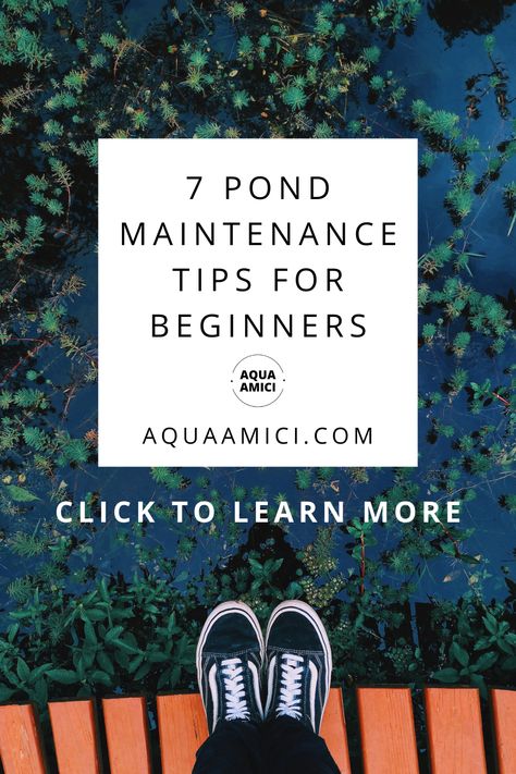 Discover essential pond maintenance tips for beginners! Learn how to keep your pond clean, balanced, and healthy with these simple tips. From water quality management and debris control to fish care and algae prevention, this article has everything you need to know. Create a beautiful and thriving pond ecosystem with these beginner-friendly maintenance strategies. #PondMaintenance #PondTips #BeginnersGuide Fish Pond Ideas, Pond Care Tips, Diy Self Cleaning Duck Pond, Manmade Pond, Cleaning Ponds Tips, Pond Ecosystem, Pond Rocks, Koi Pond Filtration System, Pond Heater