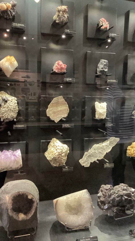 Geology Exhibition, Rock Display Ideas, Mineral Collection Display, Crystal Collection Display, Rock Collection Display, Geode Decor, Stone Display, Minerals Museum, Mineral Display