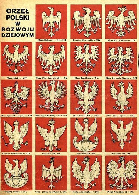 Evolution of the Polish Eagle's... - Learn Polish Daily Polish Hussars, Polish Tattoos, Polish Flag, Polish Winged Hussars, Polish Eagle, Poland History, Polish Traditions, Polish Language, Polish Folk Art