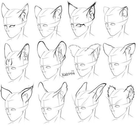 How To Draw Wolf Ears, Drawing Help, Art Help, Drawing Refs, Concept Art Drawing, Manga Artist, Poses References, Art Refs, Drawing Stuff