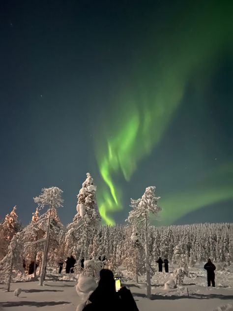 Christmas In Finland Aesthetic, Finland Travel Aesthetic, Finland Christmas Aesthetic, Aurora Lights Aesthetic, Finland Winter Aesthetic, Finland Aesthetic Winter, Rovaniemi Aesthetic, Rovaniemi Christmas, Norway Aesthetic Winter