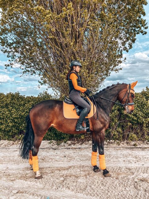 ⒽⓄⓇⓈⒺ: Full Eskadron papaya set with the cotton saddlepad. ⓇⒾⒹⓇⒺⓇ: Aztec Diamond orange base layer (2018 collection) , Covalliero grey breeches  𝗠𝘆 𝗶𝗴: @𝘀𝗽𝗼𝗿𝘁𝗶𝗼𝗽𝗼𝘀 Tᕼᗴ ᑭᕼOTO Iᔕ ᗰIᑎᗴ!! Equestrian Outfit, Horse Riding Outfit, Gorgeous Horses, Horse Equestrian, Cute Horses, Equestrian Outfits, Riding Outfit, Sunny Day, Base Layer