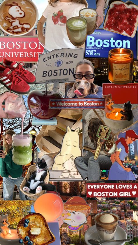 University Of Boston Aesthetic, Boston Skyline Wallpaper, Living In Boston Aesthetic, Boston Aesthetic Summer, Boston University Aesthetic, Boston College Aesthetic, Boston Massachusetts Aesthetic, Boston University Campus, Boston Wallpaper