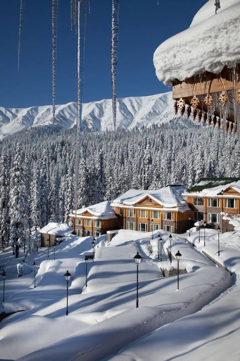 Gulmarg Kashmir, Kashmir Trip, Kashmir Tour, Winter Travel Destinations, Jammu Kashmir, Kashmir India, Beautiful Sites, Jammu And Kashmir, Winter Scenery