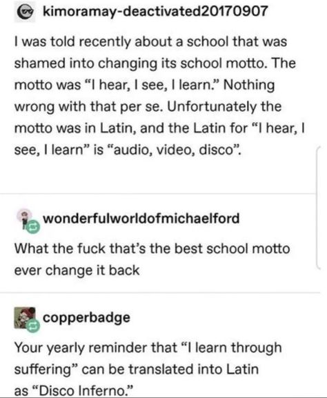 Funny Tumblr Posts, The More You Know, Text Posts, Funny Stories, Tumblr Funny, Tumblr Posts, Funny Posts, Writing Tips, Funny Texts