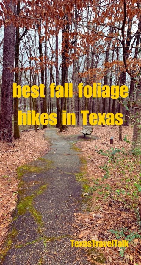 Hiking Trails in Texas to See Fall Foliage | Texas Travel Talk Hikes In Texas, Mckinney Falls State Park, Hiking In Texas, Dinosaur Valley State Park, Texas State Parks, Guadalupe Mountains National Park, Enchanted Rock, Guadalupe Mountains, Texas Parks