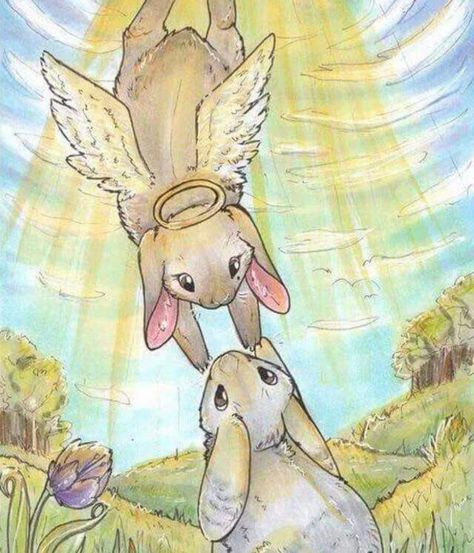 so many in heaven Bunny Rabbit Art, Hi Mom, Bunny Tattoos, Rabbit Tattoos, Bunny Painting, Write A Letter, Angel Drawing, Heaven Art, Bunny Drawing