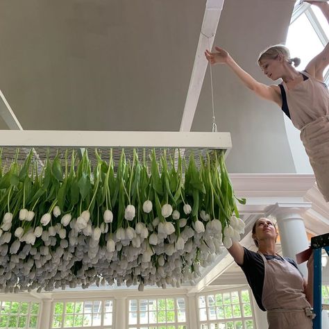 Sophie Felts Floral Design on Instagram: “The hanging tulip 🌷 installation that we got to do this weekend was exhilarating. The first step is always an inspired bride (@lydaguiar )…” Weekend Work, Event Planning Design, Hanging Flowers, Local Wedding, Pretty Wedding, Aesthetically Pleasing, Fun Wedding, First Step, Washington Dc