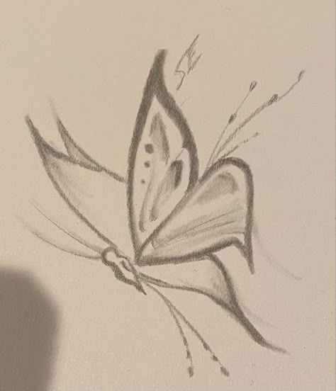 Aesthetic Butterfly Sketch, Butterfly On Nose Drawing, Butterfly Drawing Aesthetic, Fly Drawing, Butterfly Sketch, Pencil Drawings For Beginners, Chicano Drawings, Butterfly Drawing, Art Tools Drawing