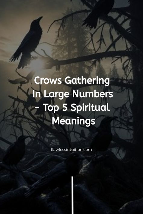 Seeing a large gathering of crows? 🦅 This ominous sight could actually carry some significant spiritual messages. Discover the top 5 meanings behind this phenomenon. Number Of Crows Meaning, Spiritual Meaning Of Crows, Crow Spiritual Meaning, Pagan Meaning, Crow Meaning, Crow Facts, Group Of Crows, Bird Symbolism, Flock Of Crows