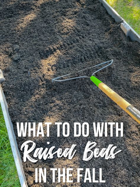 Wondering what to do with raised beds in the fall after your vegetables and flowers have faded? Here are my tips to prepare for next year! Trench Composting Raised Beds, Raised Bed Fence Ideas, Fall Raised Bed Garden Layout, Flower Garden In Raised Beds, Raised Flower Garden Ideas, Raised Cedar Garden Beds, Raised Garden Beds Enclosed, Raised Beds From Pallets, Landscaping Around Raised Garden Beds