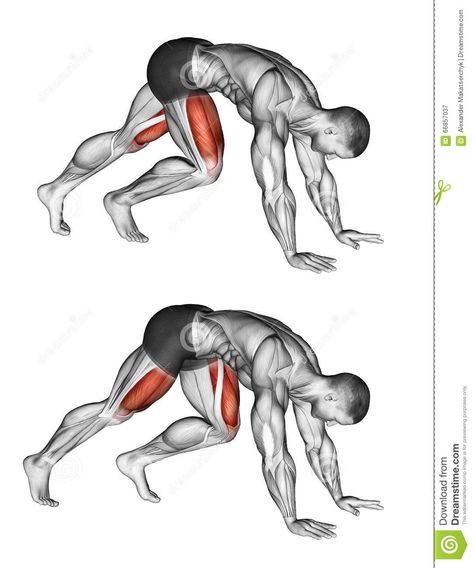 Exercising. Mountain Climbers - Download From Over 45 Million High Quality Stock Photos, Images, Vectors. Sign up for FREE today. Image: 66857037 Mountain Climber Exercise, Boxer Workout, Red Illustration, Mountain Climbers, Photographer Portfolio, Man Photo, Hiit Workout, Free Illustrations, Abs Workout