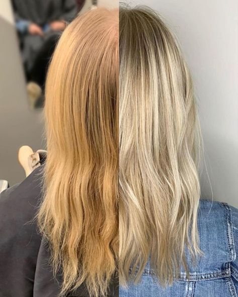 Best Shampoo For Blonde Colored Hair, Purple Shampoo Before And After Blonde Hair, Blonde Hair Toner Before And After, Best Purple Shampoo Blondes, Bleach Bath Hair, Shampoo For Bleached Hair, Best Blonde Shampoo, Baby Nook, Brassy Blonde Hair