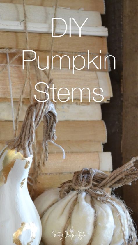 Small pumpkin and gourd with twine stems How To Make A Pumpkin Stem, Pumpkin Stems Diy, Painting Gourds, Crafts 2024, Pumpkin Stems, Diy Pumpkins, Natural Crafts, Tips For Painting, Inexpensive Decor