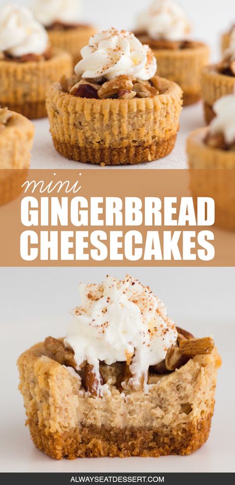 Mini gingerbread cheesecakes pair ultra-creamy spiced cheesecake with a pecan and graham cracker crust for a festive and indulgent holiday treat that's picture perfect when topped with chopped pecans, whipped cream, and a dusting of nutmeg. Serve these perfectly-portioned mini desserts at Christmas to secure your spot at the top of the nice list! #gingerbread #cheesecake #holidayrecipes #minidesserts Holiday Mini Cheesecake Recipes, Mini Holiday Cheesecakes, Christmas Cheesecake Mini, Easy Gingerbread Cheesecake, Gingerbread Cheesecake Cups, Gingerbread Mini Cheesecakes, Christmas Desserts Gingerbread, Gingerbread Crust Cheesecake, Christmas Cheesecake Cupcakes