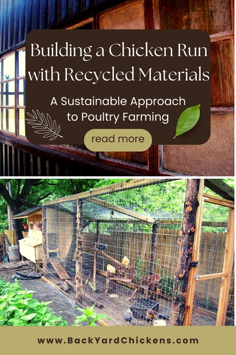 A chicken run is an enclosed area designed to keep chickens safe from predators while allowing them to exercise and forage freely. Building a chicken run can be expensive and time-consuming, but using recycled materials can make it an affordable and sustainable project.

This article outlines the benefits of building a chicken run with recycled materials and provides a step-by-step guide to constructing a functional and sustainable chicken run. Chicken Run From Pallets, Inexpensive Chicken Run, Chicken Run Extension Diy, A Frame Chicken Run, Chicken Coop From Recycled Materials, Recycled Material Chicken Coop, Chicken Run With Hardware Cloth, How To Attach Chicken Coop To Run, Attaching Hardware Cloth To Chicken Run