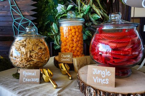 Safari Theme Baby Shower, Wild Baby Shower, Safari Baby Shower Boy, Jungle Safari Baby Shower, Baby Shower Safari Theme, Lion King Baby Shower, Jungle Theme Birthday, Safari Theme Birthday, Safari Cakes