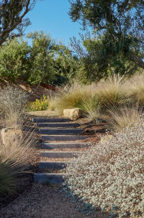 Mediterranean California Landscape, Socal Native Garden, Spanish Landscaping, Northern California Native Landscape, Southwest Coast Path, Stairs In Grass Slope, Steep Gardens, Farm Landscaping, Citrus Garden