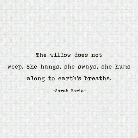 Be like the willow tree Willow Tree Meaning, Tree Poem, Haiku Poetry, Tree Quotes, Quotes Nature, Aquarius Quotes, Notable Quotes, Weeping Willow, Willow Tree