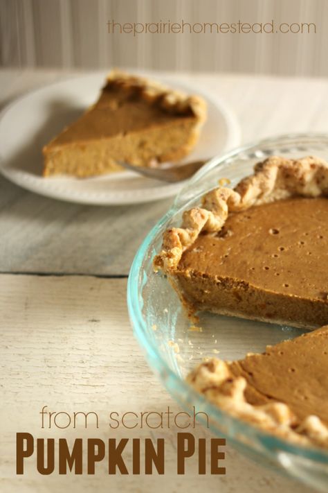 This is the best pumpkin pie recipe I've made-- the texture and flavor is perfect-- and it's made with honey too! Honey Pumpkin Pie, The Prairie Homestead, Best Pumpkin Pie Recipe, Prairie Homestead, Best Pumpkin Pie, Holiday Dishes, Pumpkin Pie Recipe, Homemade Pumpkin Pie, Vegan Holiday