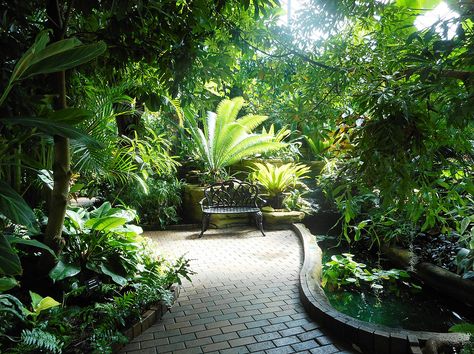 Garfield Park Conservatory - Indianapolis | AboutUs Outdoor Fish Ponds, Garfield Park Conservatory, Brick Walkway, Sunken Garden, Small Greenhouse, Children's Garden, Outdoor Concert, Fish Ponds, Glass Roof