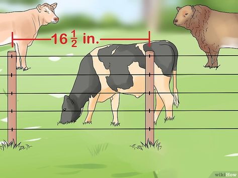 Farming Knowledge, Cattle Barn Designs, Farming House, Cow Shed Design, Cattle Housing, Cattle Feeder, Farming Animals, Farming Tips, Animal Farming