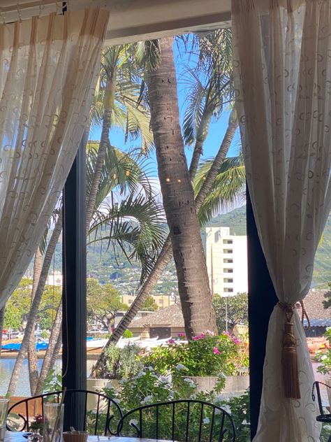 hawaii cafe, hawaii window view, hawaii view, hawaii hotel, vacation, palm tree, aesthetically pleasing, story inspo, hawaii photo dump, photo dump inspo Hotel View Aesthetic, Hawaii Cafe, Hawaii Hotel, Hawaii Aesthetic, Hotel Vacation, Hawaii Hotels, Hamilton Island, Her Campus, Window View