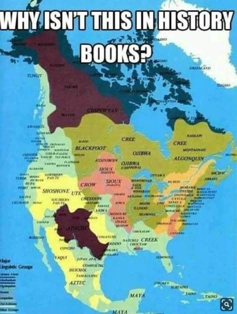 Indian History, Native American History, Interesting History, Us History, Sioux, History Facts, History Books, Ancient History, World History