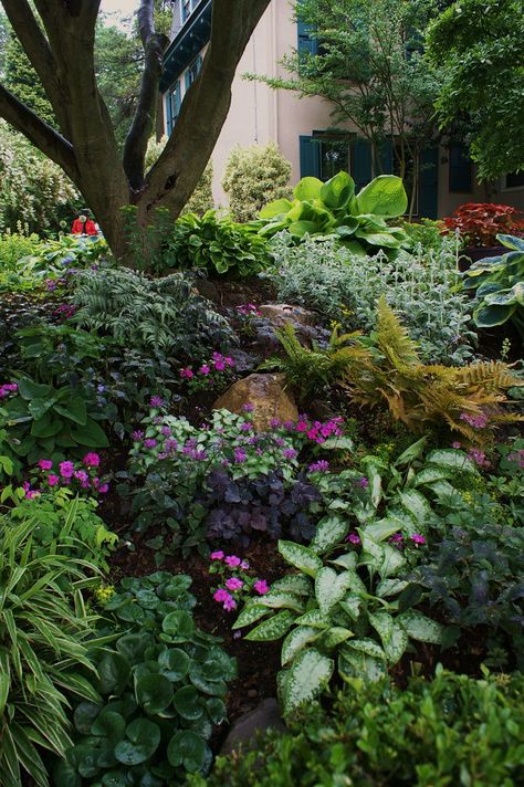 Sumptuous shady corner (2) | Karl Gercens | Flickr Shade Landscaping, Shade Garden Design, Shade Garden Plants, Hosta Gardens, Sloped Garden, Magic Garden, Woodland Garden, Plants And Flowers, Easy Garden