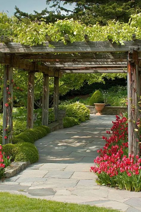 Inviting front yard lounge area with Mediterranean plants and seating area. Garden Slope Ideas, Mediterranean Garden Courtyard, Italian Courtyard Garden, Tuscan Garden Design, Mediterranean Garden Ideas, Garden Slope, Tuscan Courtyard, Garden Mediterranean, Mediterranean Courtyard