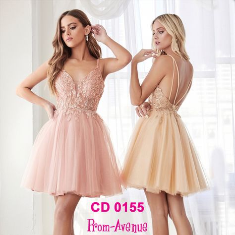 in love with this A-line embellished short party dress in layered tulle skirt 😮💕  #partydress #promgown #homecomingdress #tulle #embellisheddress #cutedress #shortpartydress #cute #fashion Haljine Za Krizmu, Kratke Haljine, Easy At Home Workouts, Embellished Shorts, Layered Tulle Skirt, Semi Formal Dress, Short Party Dress, Gowns Online, Embellished Dress