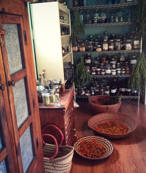 Apothecary Decor, Medicine Chest, Herbal Apothecary, Office Plants, Apartment Life, Kitchen Witch, Medicinal Herbs, Medicinal Plants, Herbal Medicine