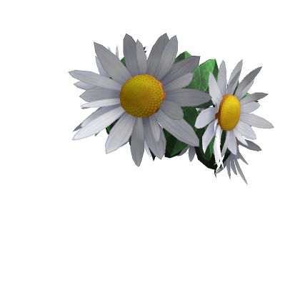 Spring Flower Crown, Crown Png, Cute Png, Roblox T-shirt, T Shirt Flowers, Pink Tour, Create An Avatar, Install Roblox, Spring Flower