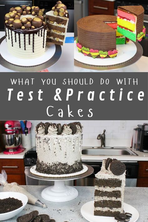 What should you do with leftover practice cakes? Whether they're from recipe testing, practicing a new decorating technique, or even from making a cake video, I share all my suggestions for what to do with extra cake!! #leftovercake #cakedonations Cake Decorating Simple, Cheesecake Cake Pops, Cakes Videos, Making A Cake, Cake Video, Puppy Cake, Sculpted Cakes, Leftover Cake, Cheesecake Cake