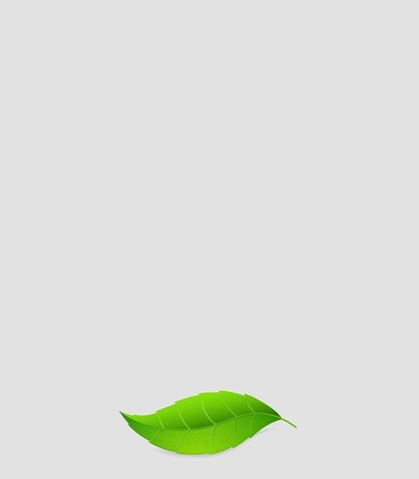 Frame Background, Plant Leaves, Plants