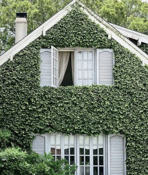 Random Notes on a Monday Morning: Hostess Gifts, Baby Gates, + Dresses. Ivy Covered House, Neptune Home, Random Notes, Ivy Plant, Plant House, Monday Inspiration, Ivy House, Ivy Plants, Baby Gates