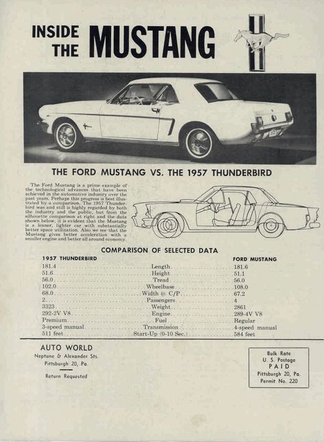 Vintage Mustang Poster, 65 Ford Mustang, 1967 Mustang Convertible, Mustang Gtr, Mustang 65, Mustang Restoration, Mustang 1969, Mustang Art, Office Posters