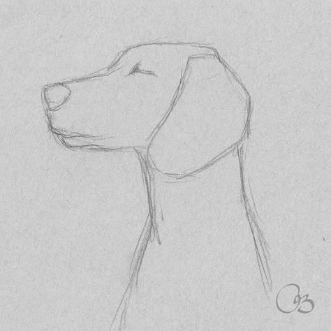 Things To Sketch Animals, Drawing Dogs Easy, Drawing Ideas Easy Animals, How To Draw Dog, Drawing Inspo Easy, Dogs To Draw, How To Draw A Dog, Cute Dog Sketch, Drawing Ideas Dog